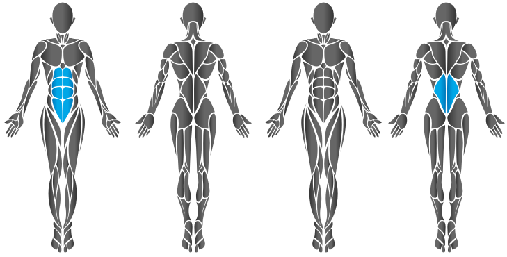 Diagram showing chest muscles worked by the HUR Twist machine.