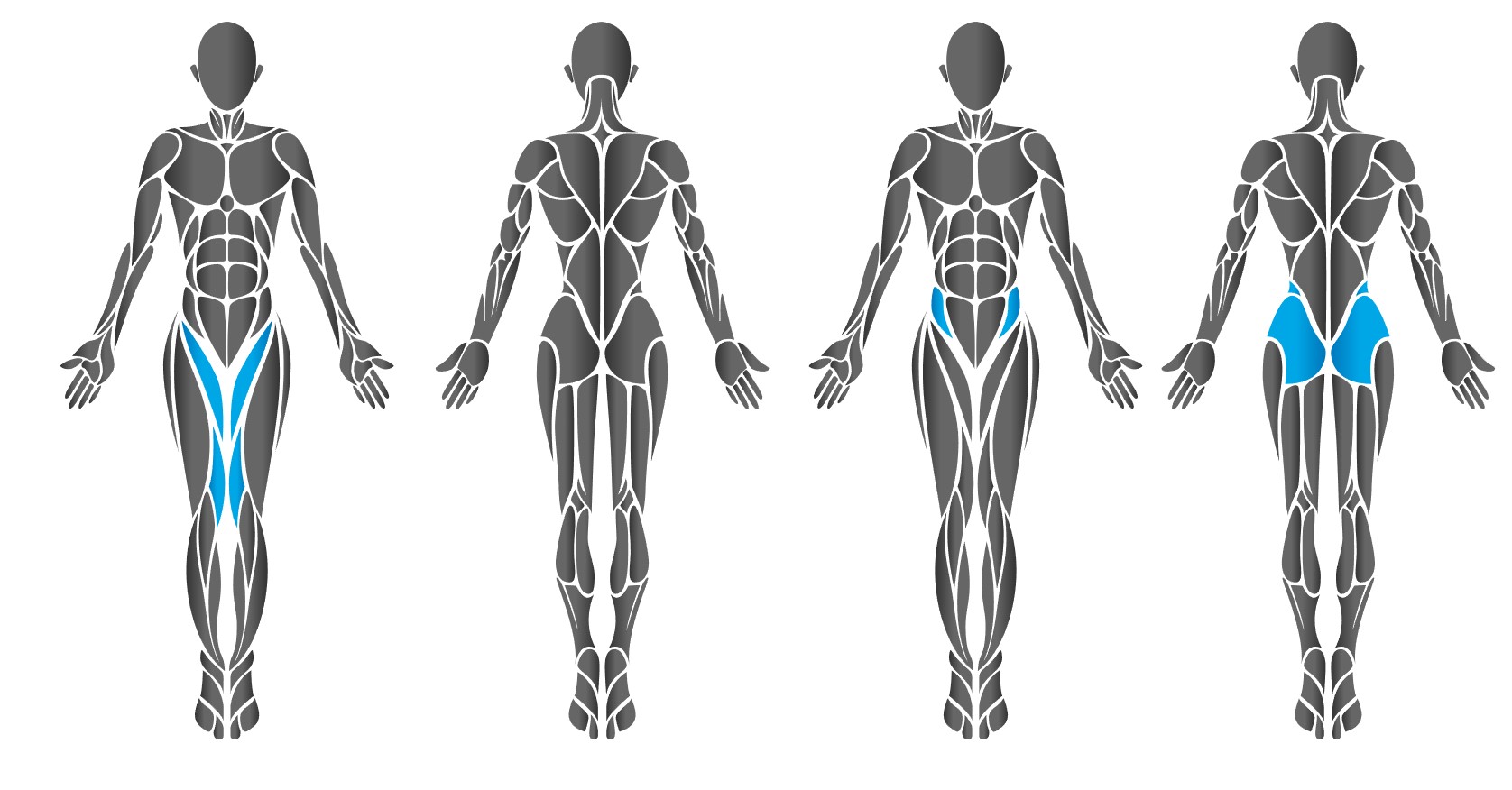 Diagram showing chest muscles worked by the HUR Leg Extension / Curl machine.
