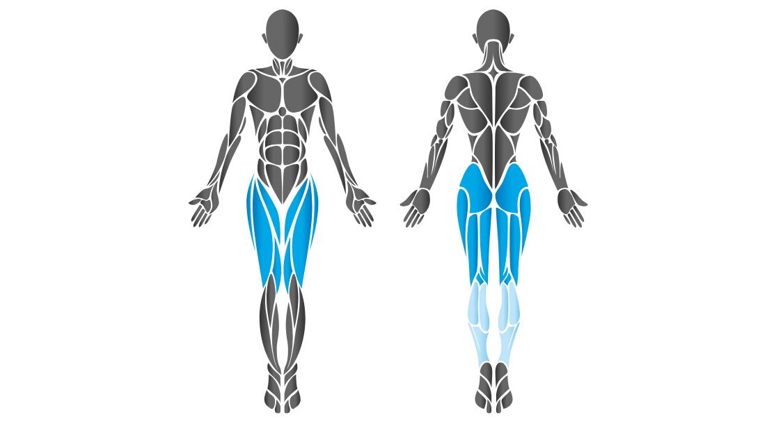 Diagram showing chest muscles worked by the HUR Abdominal Isolator machine.