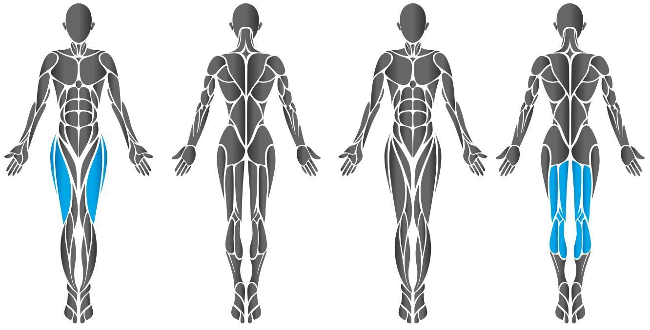 Diagram showing chest muscles worked by the HUR leg press incline machine.